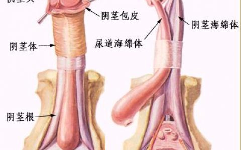 建筑面积和使用面积的差别