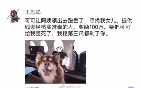 网传王思聪家的王可可丢了 悬赏100万找狗