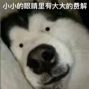 马：？？？？？？