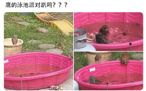 这是什么精致的姐妹趴？