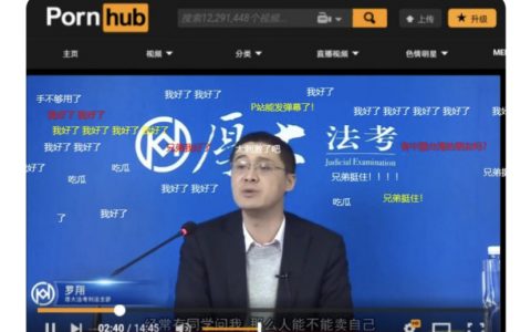 恭喜罗老师成为P站官方认定的头部UP