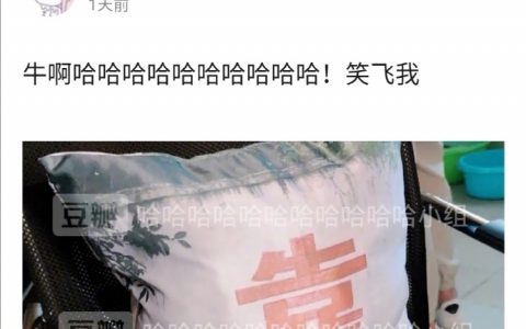 适合在公司用的一语双关的抱枕