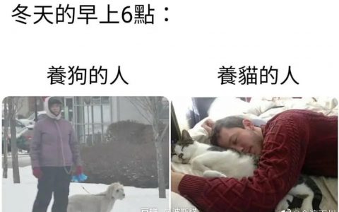 养狗人有被冒犯到