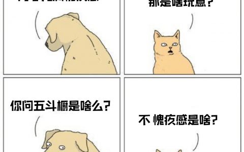 猫狗对话: 那是啥？