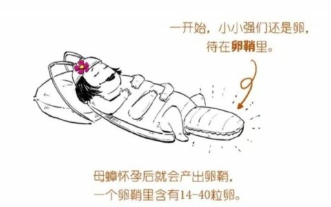 原来小强打不死的原因是