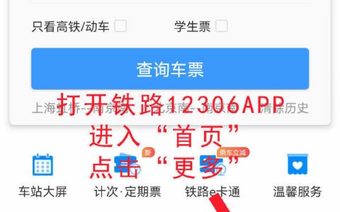 如何在铁路 12306APP 中查询各地的防疫政策？