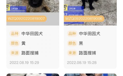 深圳搞了一个官方领养狗狗的小程序 真好诶！