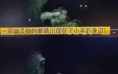 小羊：想串我就直说，别整这些花的