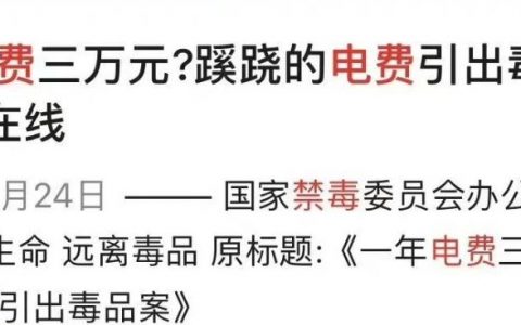 如果一个家庭电费突然暴涨， 可以合理地怀疑是有人在家种大麻…