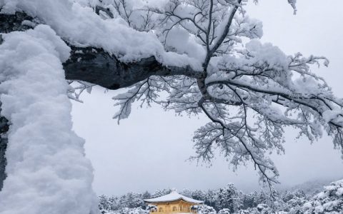 白雪覆盖的金阁寺 ​​​​