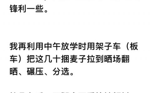 知乎上有个问题，叫 “会有人羡慕生在河南吗？”