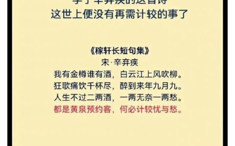 ？？？？？？？是当没人认识辛弃疾吗