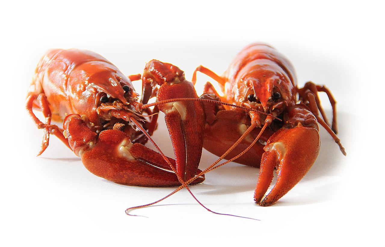 crayfish_423251_1280.jpg