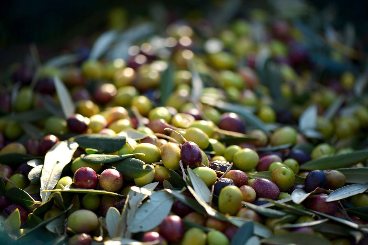 olives_253264_1280.jpg